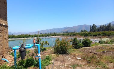 7,11 HA EN ROMERAL HIJUELAS CON PALTOS EN PLENA PRODUCCION