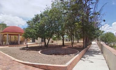 💸 ¡Precio de oportunidad! Casa con palapa y bungalow en terreno de 2,200m² 🌿