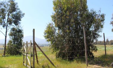 LINDO TERRENO EN SECTOR STA LUISA, MANTAGUA A 10 MINUTOS ROTONDA CONCON