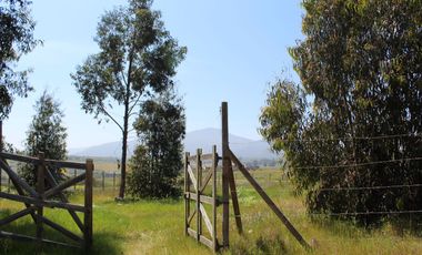 LINDO TERRENO EN SECTOR STA LUISA, MANTAGUA A 10 MINUTOS ROTONDA CONCON