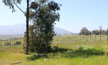 LINDO TERRENO EN SECTOR STA LUISA, MANTAGUA A 10 MINUTOS ROTONDA CONCON