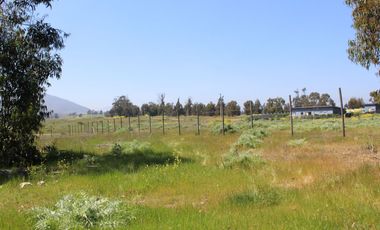 LINDO TERRENO EN SECTOR STA LUISA, MANTAGUA A 10 MINUTOS ROTONDA CONCON