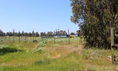 LINDO TERRENO EN SECTOR STA LUISA, MANTAGUA A 10 MINUTOS ROTONDA CONCON