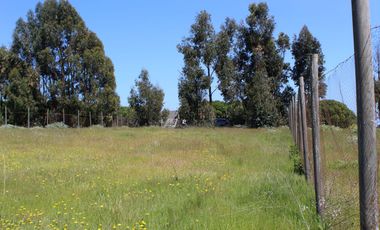LINDO TERRENO EN SECTOR STA LUISA, MANTAGUA A 10 MINUTOS ROTONDA CONCON