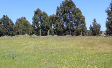 LINDO TERRENO EN SECTOR STA LUISA, MANTAGUA A 10 MINUTOS ROTONDA CONCON