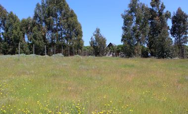 LINDO TERRENO EN SECTOR STA LUISA, MANTAGUA A 10 MINUTOS ROTONDA CONCON