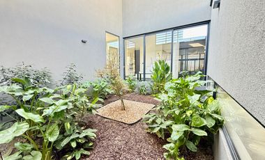 Piedra Roja, Chicureo Oriente