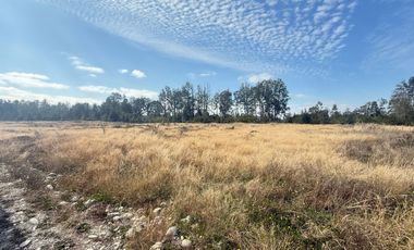 ¡Oportunidad Única! Parcela de 1 Hectárea en Venta, Fundo Ex Nassa, Paillaco Región de Los Ríos.