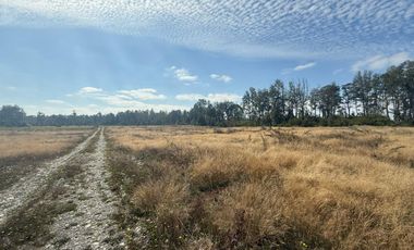 ¡Oportunidad Única! Parcela de 1 Hectárea en Venta, Fundo Ex Nassa, Paillaco Región de Los Ríos.