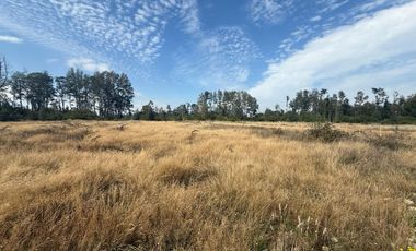 ¡Oportunidad Única! Parcela de 1 Hectárea en Venta, Fundo Ex Nassa, Paillaco Región de Los Ríos.