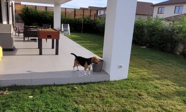 Casa en venta El Polo 4 dorm 3 baños con piscina en Machalí