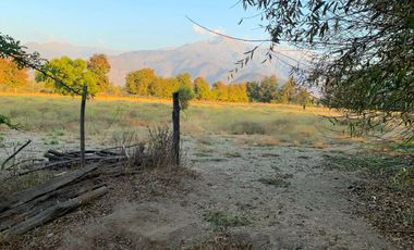 PARCELA AGRICOLA 4,5 HA, SECTOR PINTUE, ACULEO, COMUNA DE PAINE, REGION METROPOLITANA, DERECHOS DE AGUA, POZO DE 15 M, A 1 HORA DE SANTIAGO