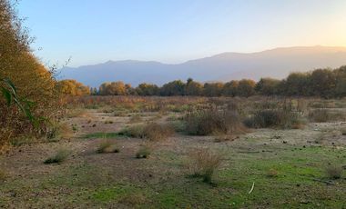 PARCELA AGRICOLA 4,5 HA, SECTOR PINTUE, ACULEO, COMUNA DE PAINE, REGION METROPOLITANA, DERECHOS DE AGUA, POZO DE 15 M, A 1 HORA DE SANTIAGO