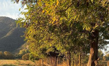 PARCELA AGRICOLA 4,5 HA, SECTOR PINTUE, ACULEO, COMUNA DE PAINE, REGION METROPOLITANA, DERECHOS DE AGUA, POZO DE 15 M, A 1 HORA DE SANTIAGO