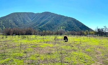 PARCELA AGRICOLA 4,5 HA, SECTOR PINTUE, ACULEO, COMUNA DE PAINE, REGION METROPOLITANA, DERECHOS DE AGUA, POZO DE 15 M, A 1 HORA DE SANTIAGO