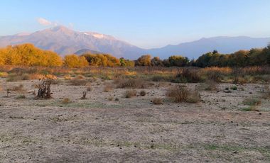 PARCELA AGRICOLA 4,5 HA, SECTOR PINTUE, ACULEO, COMUNA DE PAINE, REGION METROPOLITANA, DERECHOS DE AGUA, POZO DE 15 M, A 1 HORA DE SANTIAGO