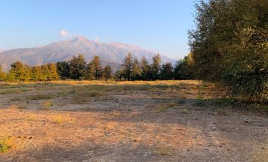 PARCELA AGRICOLA 4,5 HA, SECTOR PINTUE, ACULEO, COMUNA DE PAINE, REGION METROPOLITANA, DERECHOS DE AGUA, POZO DE 15 M, A 1 HORA DE SANTIAGO