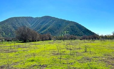 PARCELA AGRICOLA 4,5 HA, SECTOR PINTUE, ACULEO, COMUNA DE PAINE, REGION METROPOLITANA, DERECHOS DE AGUA, POZO DE 15 M, A 1 HORA DE SANTIAGO