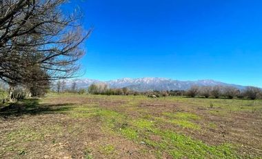 PARCELA AGRICOLA 4,5 HA, SECTOR PINTUE, ACULEO, COMUNA DE PAINE, REGION METROPOLITANA, DERECHOS DE AGUA, POZO DE 15 M, A 1 HORA DE SANTIAGO