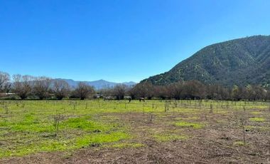 PARCELA AGRICOLA 4,5 HA, SECTOR PINTUE, ACULEO, COMUNA DE PAINE, REGION METROPOLITANA, DERECHOS DE AGUA, POZO DE 15 M, A 1 HORA DE SANTIAGO