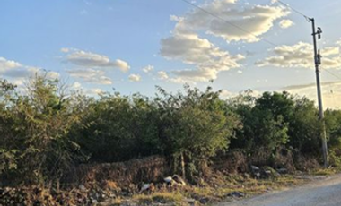 Dzityá, Mérida  Terreno en venta en Dzitya, Mérida, Yucatán.