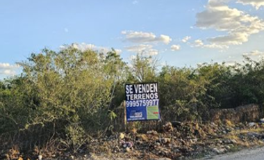 Dzityá, Mérida  Terreno en venta en Dzitya, Mérida, Yucatán.