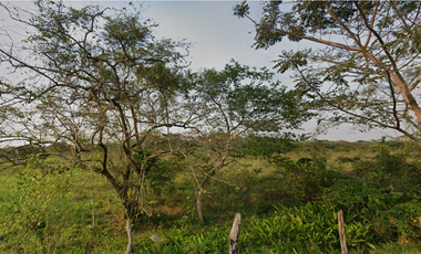 PREDIO RUSTICO EN VENTA 100 HAS, TENOSIQUE DE PINO SUAREZ, TABASCO, $155.00 M2
