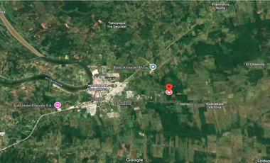 PREDIO RUSTICO EN VENTA 100 HAS, TENOSIQUE DE PINO SUAREZ, TABASCO, $155.00 M2