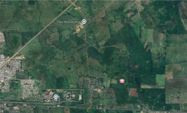 PREDIO RUSTICO EN VENTA 100 HAS, TENOSIQUE DE PINO SUAREZ, TABASCO, $155.00 M2