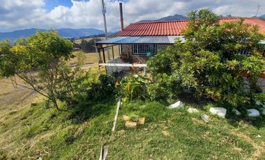 FINCA CARMEN DE CARUPA EN VENTA