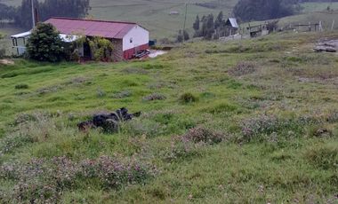 FINCA CARMEN DE CARUPA EN VENTA