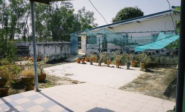 ขายด่วน! บ้านสวน 2 ไร่ ลำลูกกา คลองสิบ ใกล้กรุงเทพฯ ซื้อมาทำบ้านพักตากอากาศ แต่ไม่มีเวลาไปอยู่ แปลงสวย บรรยากาศรีสอร์ต ที่ดินหน้ากว้าง เหมาะทำบ้านสวน