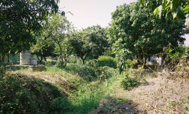 ขายด่วน! บ้านสวน 2 ไร่ ลำลูกกา คลองสิบ ใกล้กรุงเทพฯ ซื้อมาทำบ้านพักตากอากาศ แต่ไม่มีเวลาไปอยู่ แปลงสวย บรรยากาศรีสอร์ต ที่ดินหน้ากว้าง เหมาะทำบ้านสวน
