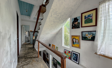 3 Bedroom with Attic and Basement - A 4 Storey artist's Haven
