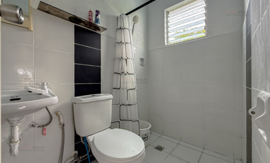 3 Bedroom with Attic and Basement - A 4 Storey artist's Haven