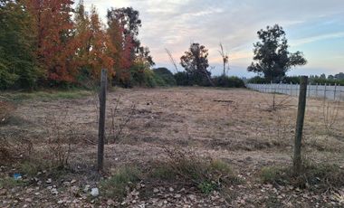 Machali, La Campiña