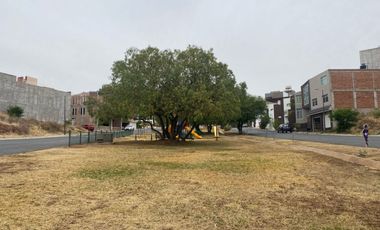 Terreno en Venta en Guadalupe, en Fracc. Conde Santiago de la Laguna