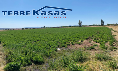 Rancho en Venta en Trancoso, Zacatecas, en Ciudad Deportiva Tierra Adentro