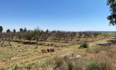 Rancho en Venta en Trancoso, Zacatecas, en Ciudad Deportiva Tierra Adentro