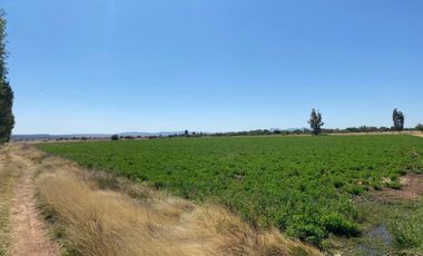 Rancho en Venta en Trancoso, Zacatecas, en Ciudad Deportiva Tierra Adentro