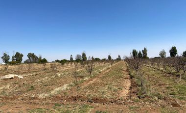 Rancho en Venta en Trancoso, Zacatecas, en Ciudad Deportiva Tierra Adentro