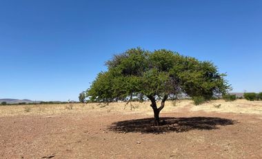 Rancho en Venta en Trancoso, Zacatecas, en Ciudad Deportiva Tierra Adentro