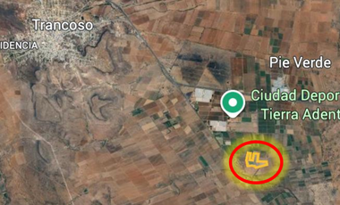 Rancho en Venta en Trancoso, Zacatecas, en Ciudad Deportiva Tierra Adentro