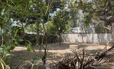 TERRENO EN VENTA CALLE ALVARO OBREGON, ESQUINA IGNACIO ZARAGOZA