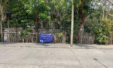 TERRENO EN VENTA CALLE ALVARO OBREGON, ESQUINA IGNACIO ZARAGOZA