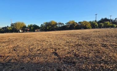 Las Gaviotas, a 10 minutos de Concón, sitios planos 1000 M2