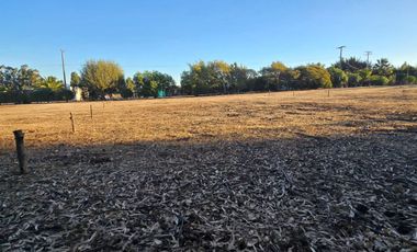 Las Gaviotas, a 10 minutos de Concón, sitios planos 1000 M2