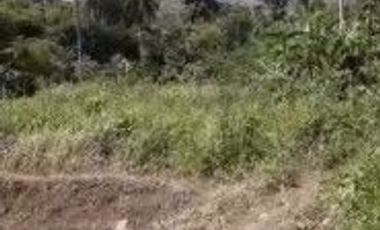 6000 M2 Tanah Kebun Pinggir Jalan Desa, Citatah, Cipatat,Bandung Barat
