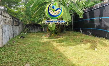 F O R S A L E Posadas Village Sucat Muntinlupa - 300 sqm Vacant Residential Lot
