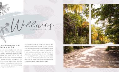 KUHA TERRENOS PLAYA DEL CARMEN